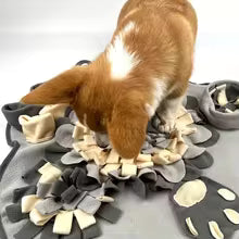 Dog Snuffle Mat – Interactive Slow Feeder & Foraging Training Toy for Dogs