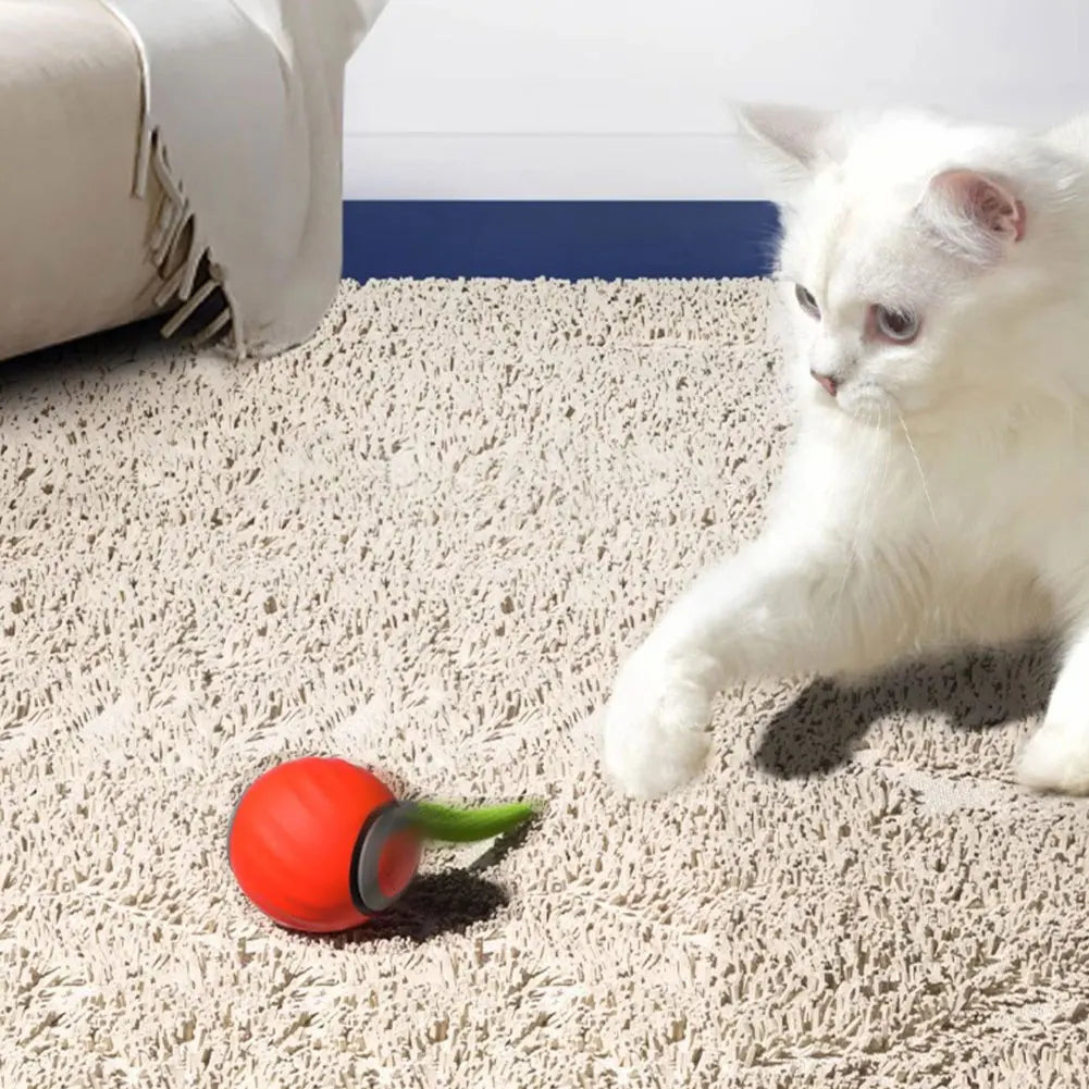 Automatic Interactive Cat Toy Ball – Speedy Tail 2.0 Moving Toy