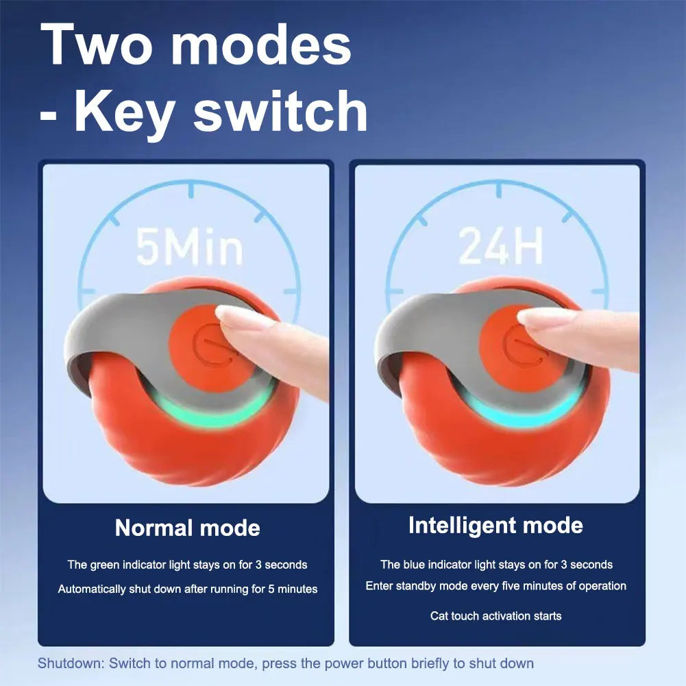 Automatic Interactive Cat Toy Ball – Speedy Tail 2.0 Moving Toy