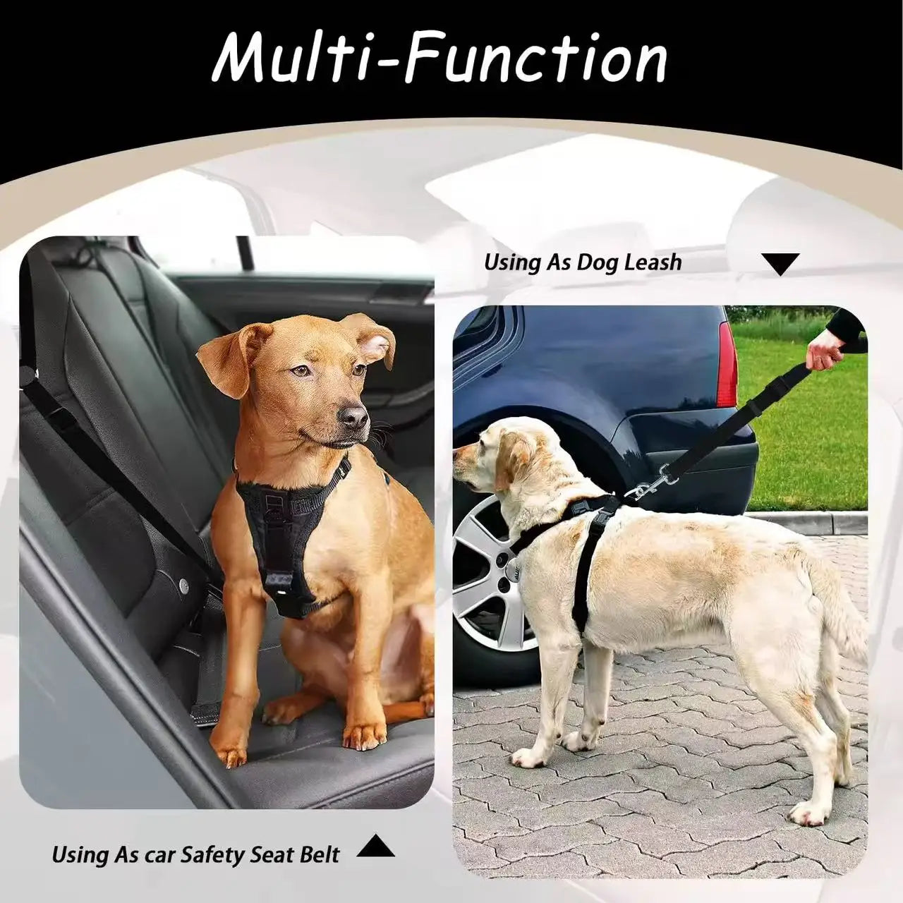 Dog Car Seat Belt – Adjustable Nylon Safety Leash for Backseat Travel
