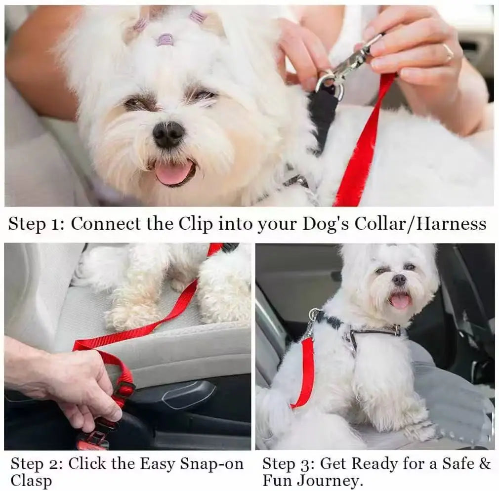 Dog Car Seat Belt – Adjustable Nylon Safety Leash for Backseat Travel