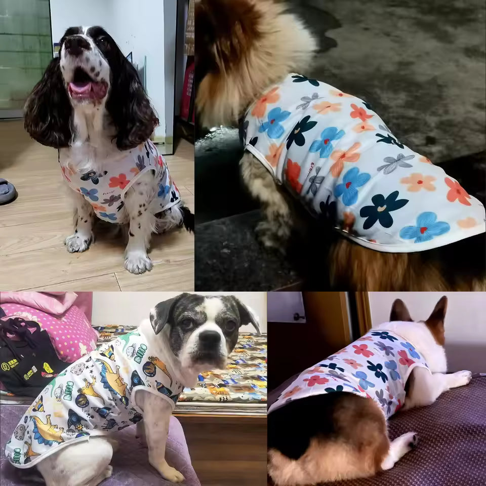Lightweight Breathable Cooling Shirt for Small to Large Dogs