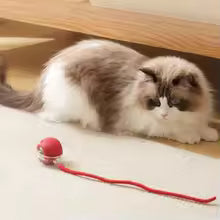 Automatic Interactive Cat Toy Ball – Rechargeable Smart Rolling Toy with Mouse Tail