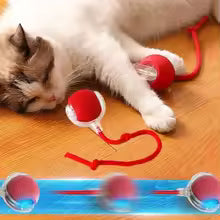 Automatic Interactive Cat Toy Ball – Rechargeable Smart Rolling Toy with Mouse Tail
