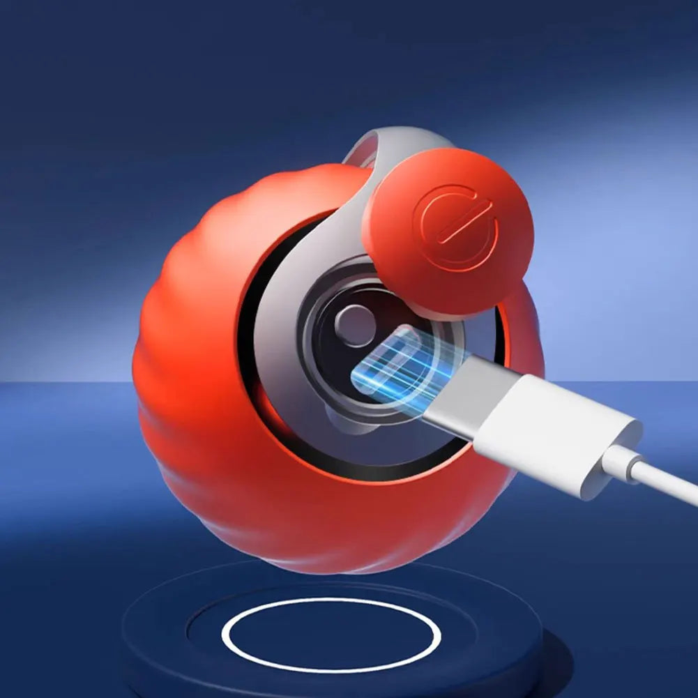 Automatic Interactive Cat Toy Ball – Speedy Tail 2.0 Moving Toy